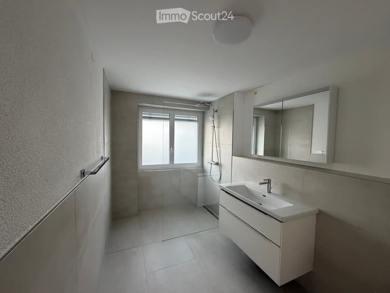 Modern bathroom with a white sink, mirrored cabinet, and glass-enclosed shower area. Features a large window and a sleek, contemporary design.