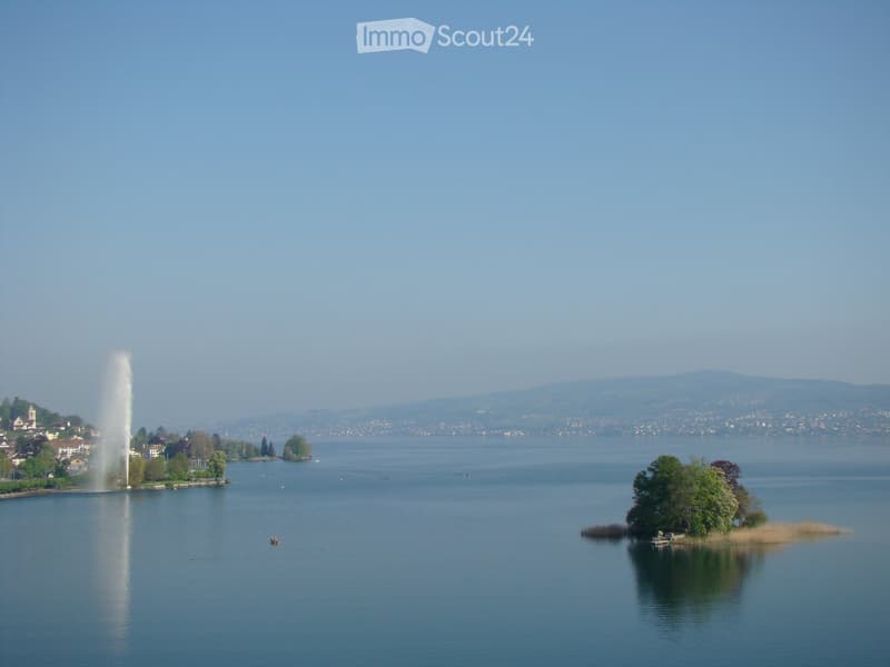 A scenic view of a lake with a fountain spraying water into the air, surrounded by trees and distant hills.