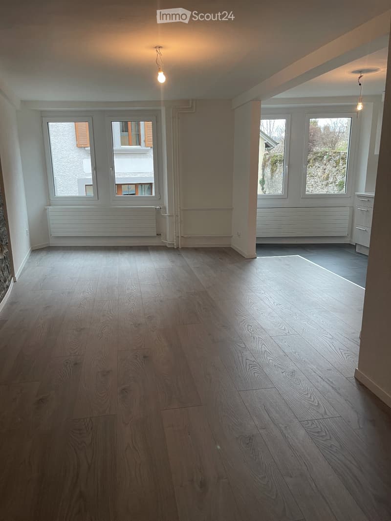 Empty room with wooden flooring, white walls, large windows, radiators, and pendant lights.