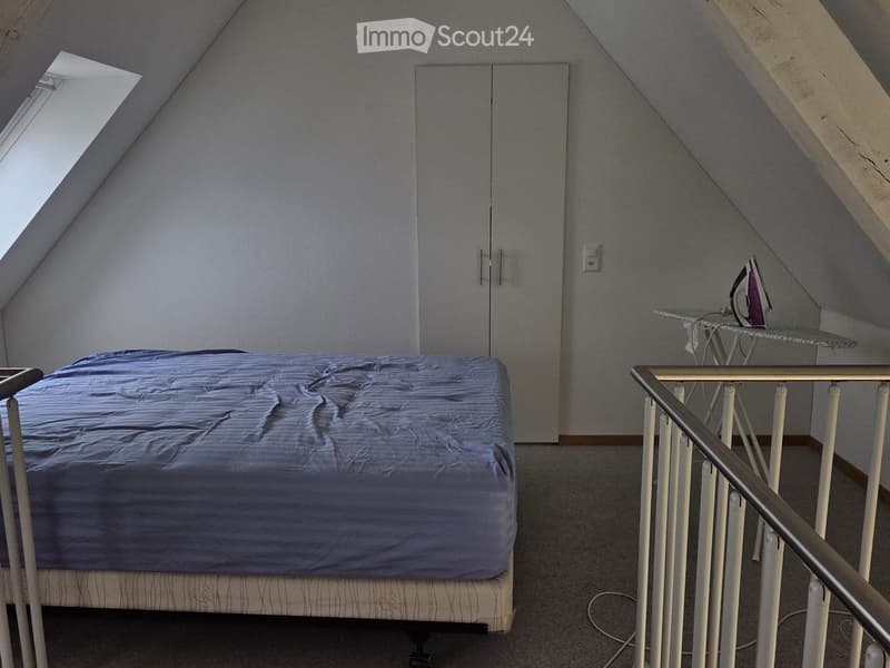 Bedroom with a single bed, a wardrobe, an ironing board, and an iron. The room has slanted ceilings and a skylight window.