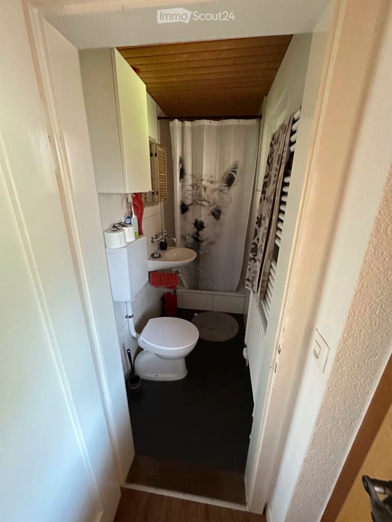 Compact bathroom with white toilet, sink, mirror, and shower curtain featuring an alpaca design. Includes a small cabinet and toilet paper holder.