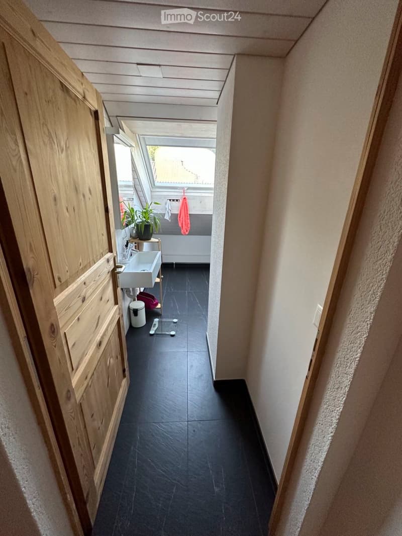 A narrow hallway with dark tiled flooring, light wooden walls, and a wooden cabinet on the left. A small sink area with a plant and a towel is visible at the end of the hallway.