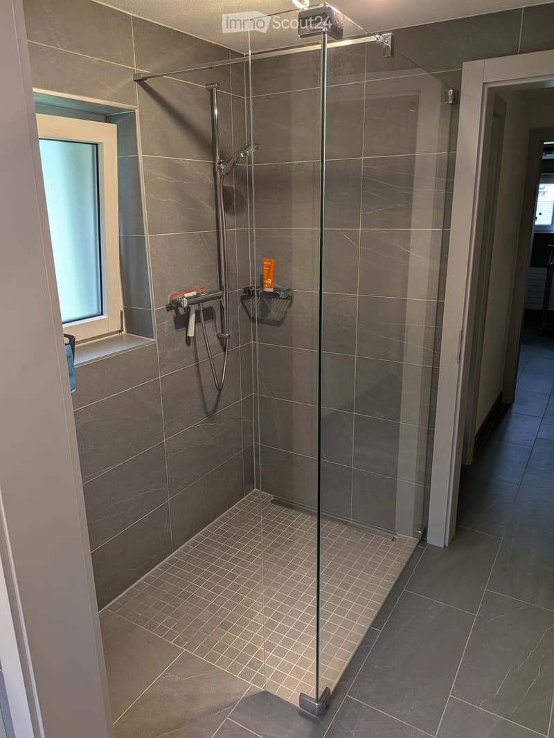 Modern bathroom with a glass-enclosed shower stall, dark grey tiles, and a built-in shelf. The shower features a handheld sprayer and a fixed overhead showerhead.