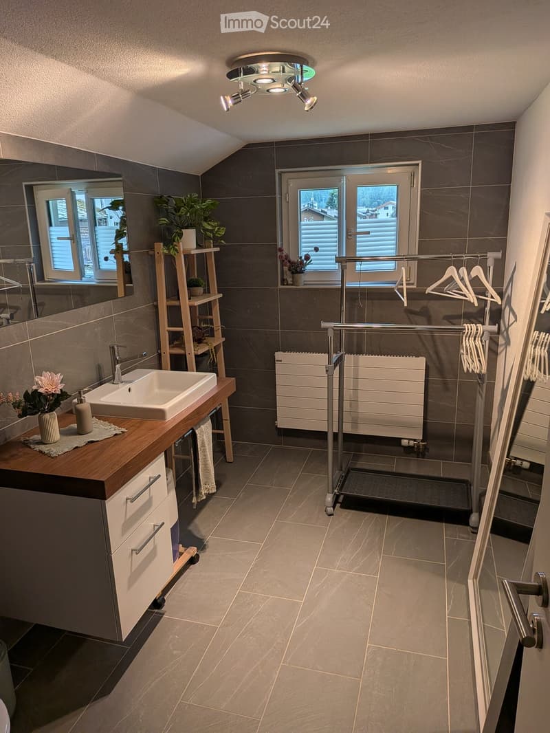 Modern bathroom with grey tiles, a wooden vanity with a sink, a large mirror, a radiator, a coat rack, and a small shelf with plants and decorative items.