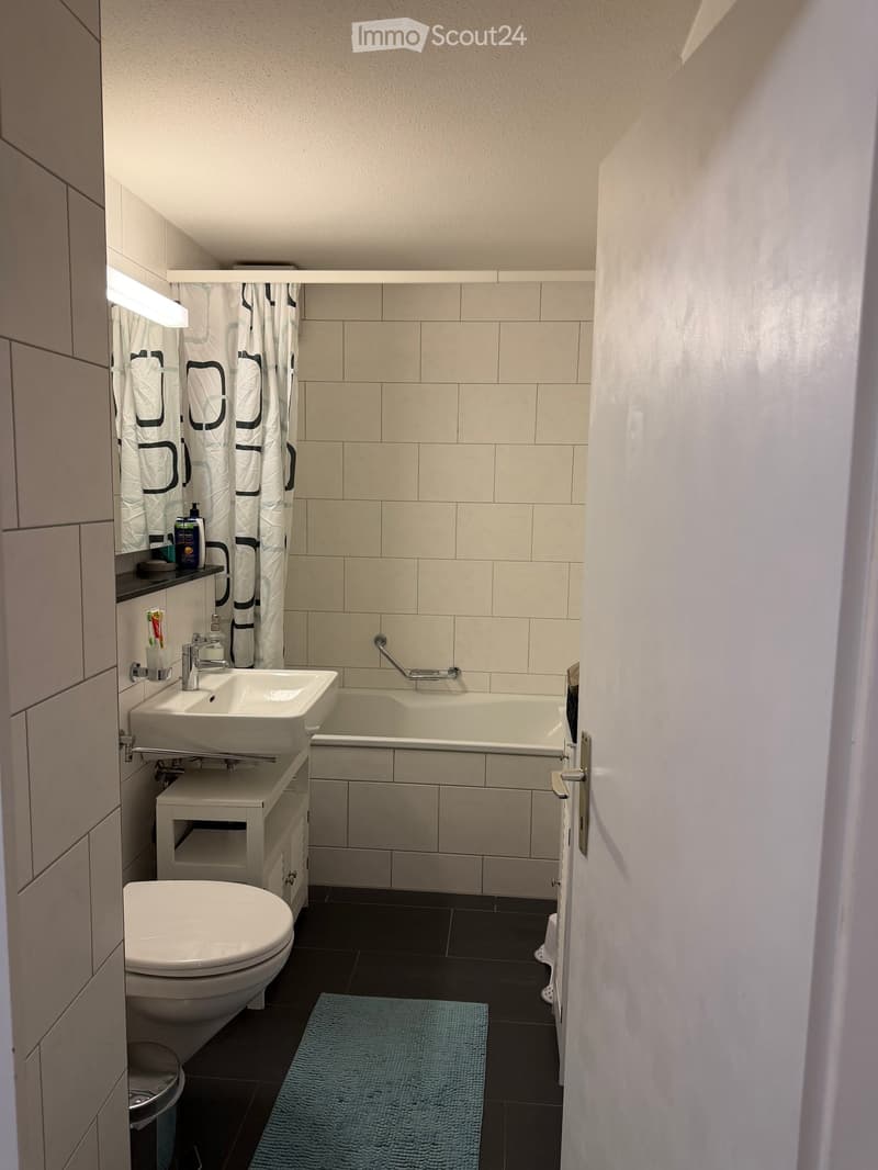 Modern bathroom with a white sink, toilet, bathtub, and built-in cabinet. Features a shower curtain, toothbrush holder, and a small rug on the floor.
