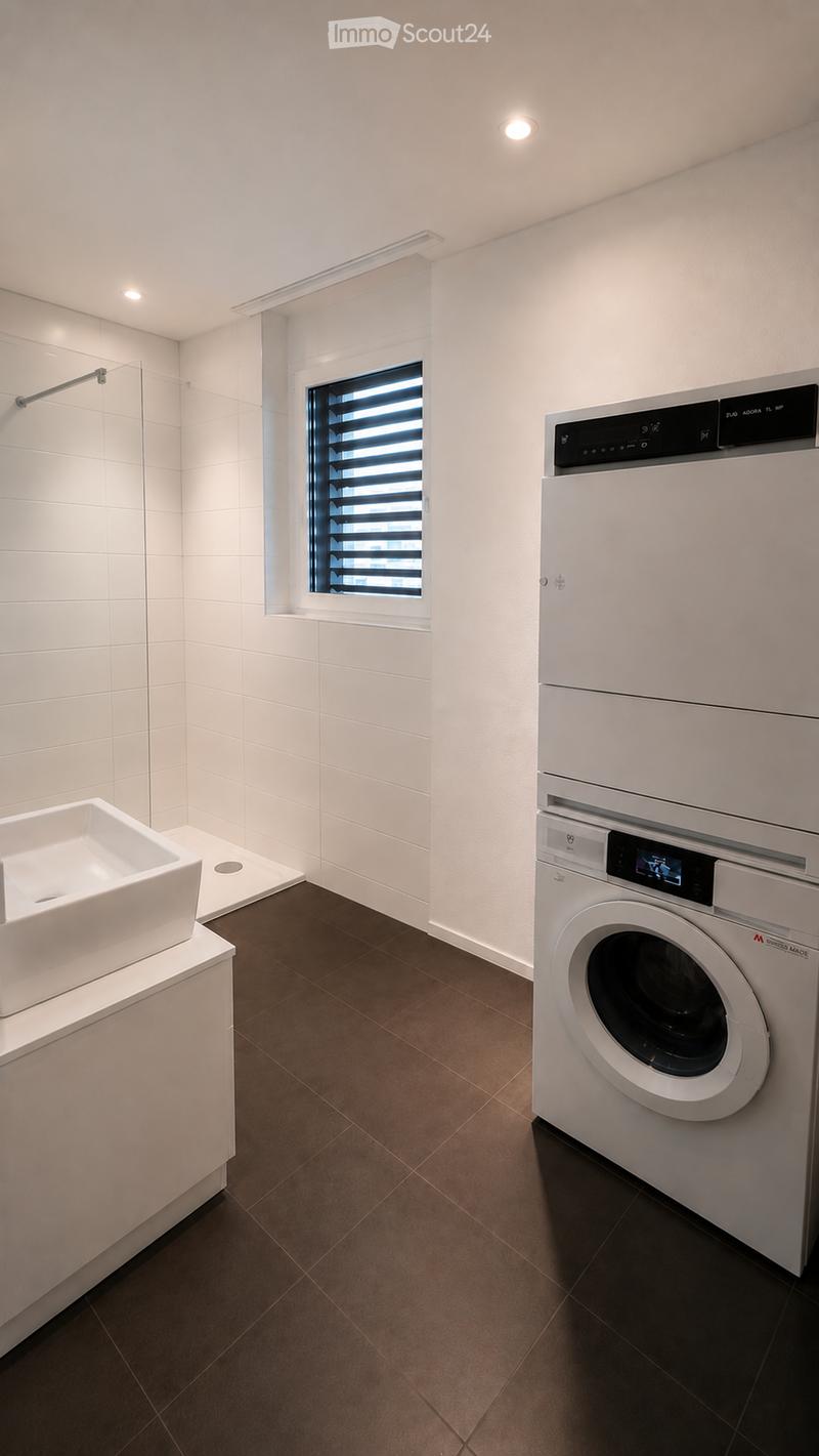 Modern bathroom with a white sink, a washing machine, and a shower area with a glass enclosure. The space features dark brown tiles on the floor and white tiles on the walls.