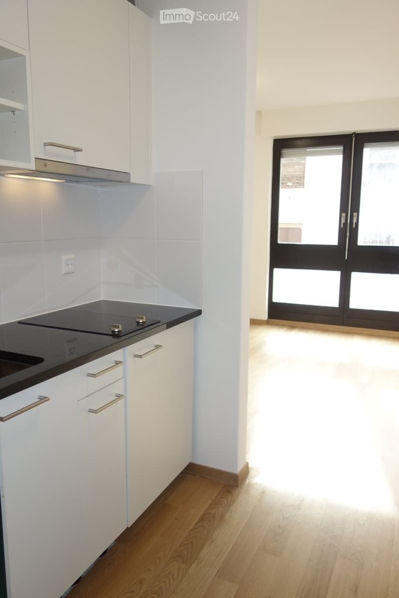 Modern kitchen with white cabinets, black countertop, induction stove, and a large windowed door leading to another room.