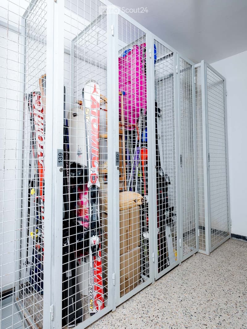 Wire enclosed storage units for skis and snowboards, multiple compartments, storage boxes, bags