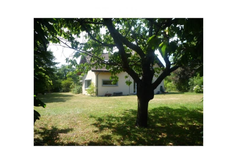 A well-maintained garden with a large tree, a single-story house in the background, and a neatly trimmed lawn.