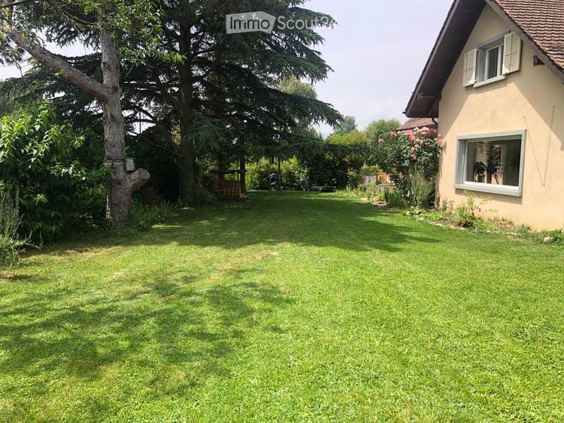 Well-maintained lawn with trees, shrubs, and a small wooden structure, adjacent to a house with light-colored walls and white-framed windows.
