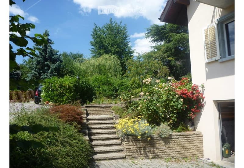 Garden area with stone steps leading up to a house, surrounded by various plants and flowers, with a raised ground floor and a parked car visible in the background.