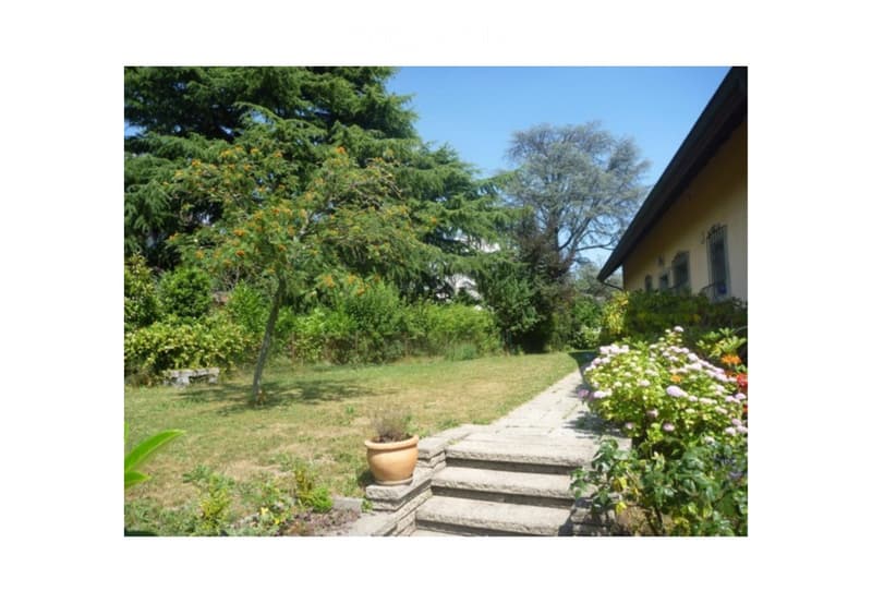 Garden with a stone pathway leading to a house, surrounded by trees, shrubs, and flowering plants. A small potted plant sits on the pathway.