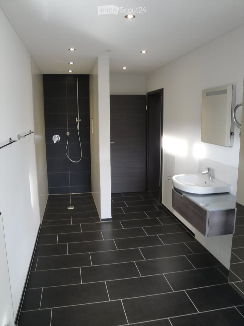 Modern bathroom with black tiled floor and walls, white sink with faucet, dark wooden cabinet, and a glass-enclosed shower area.
