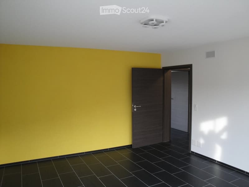 Empty room with dark tiled floor, yellow accent wall, white ceiling light fixture, and a closed wooden door leading to another space.
