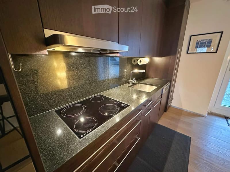 Modern kitchen with dark wood cabinets, granite countertops, induction cooktop, stainless steel sink, and range hood.