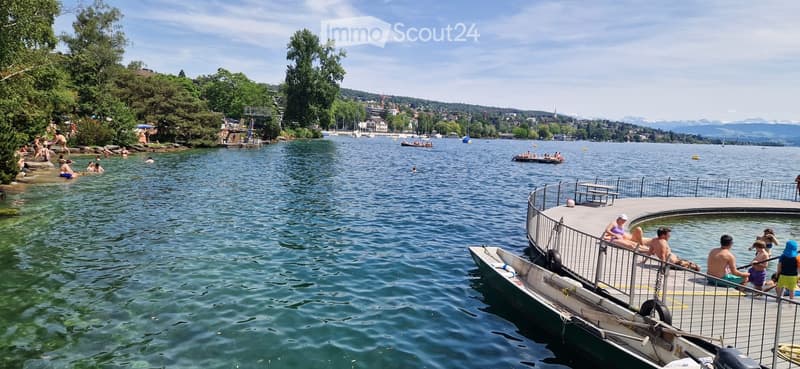 A lakeside recreational area with people swimming, lounging on rocks, and enjoying boats. The scene includes a wooden dock, a circular platform, and a scenic view of the lake and surrounding hills.