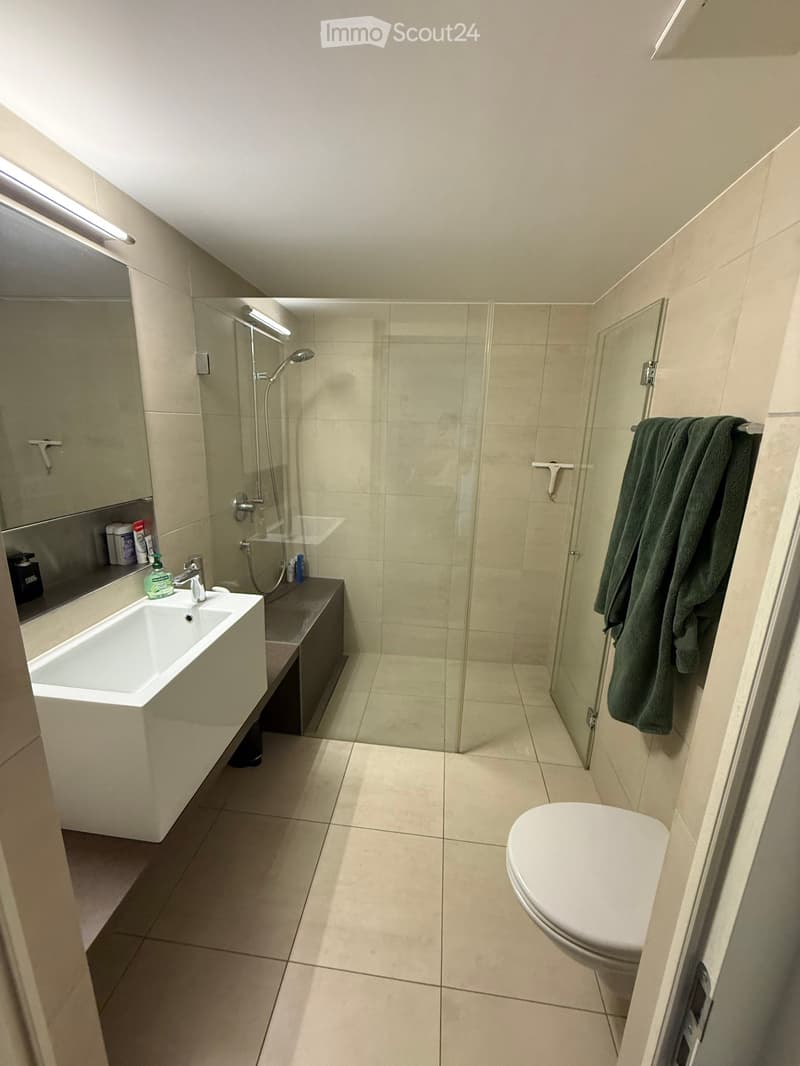Modern bathroom with a white sink, toilet, glass-enclosed shower, and a green towel hanging on the wall.