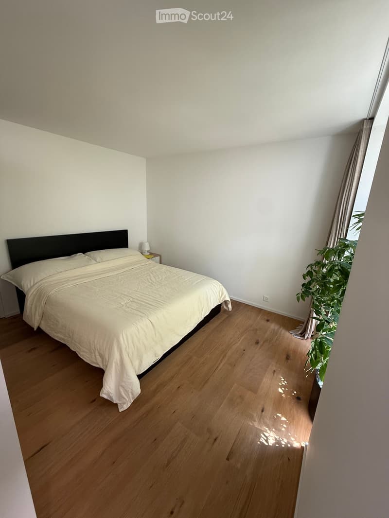 Bedroom with wooden flooring, a large bed with white bedding, a nightstand with a lamp, and a potted plant near the window.