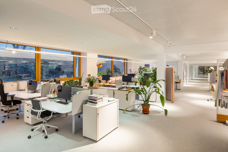 Modern office space with white desks, ergonomic chairs, computer monitors, keyboards, and potted plants. Large windows with orange frames provide natural light.