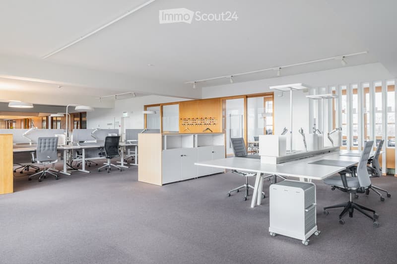 Modern office space with desks, chairs, computer monitors, lamps, and cabinets. Large windows provide natural light.