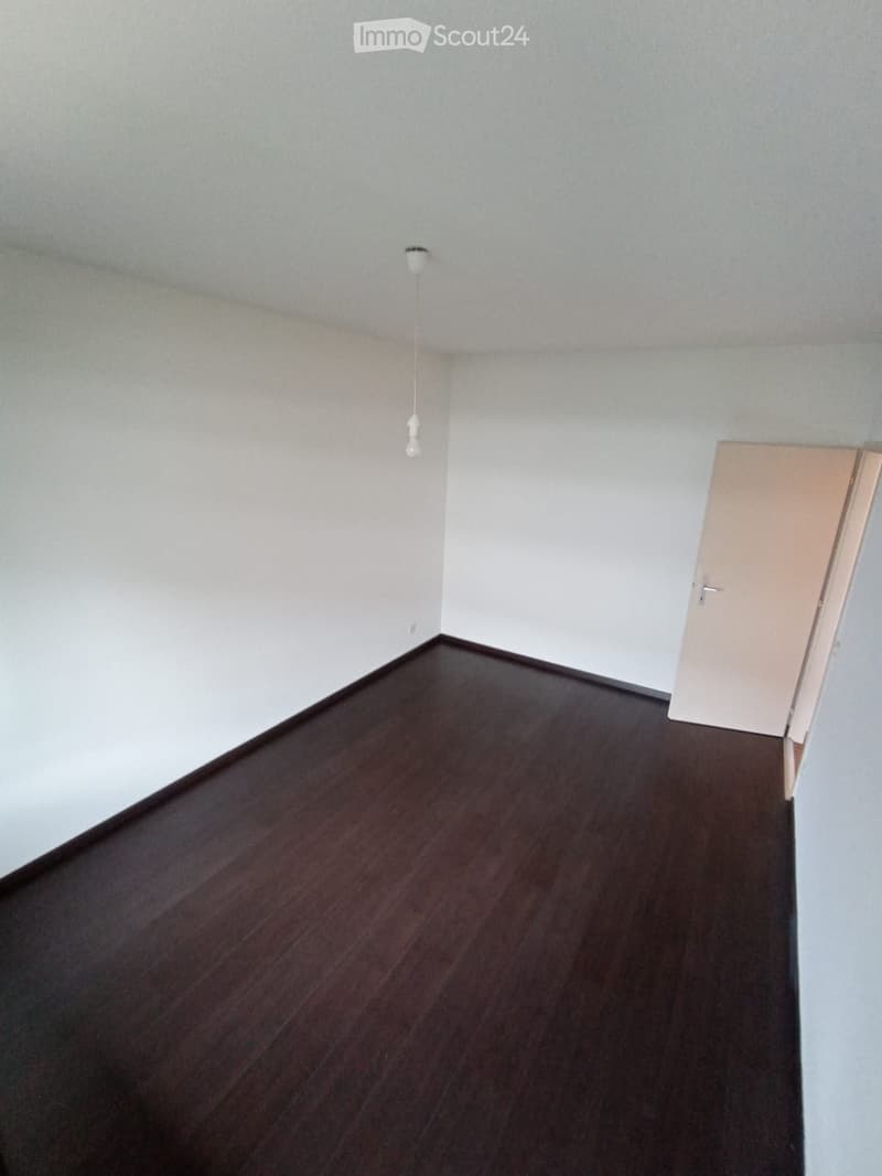 Empty room with wooden flooring, white walls, and a single light fixture hanging from the ceiling. A closed door is visible on the right side.