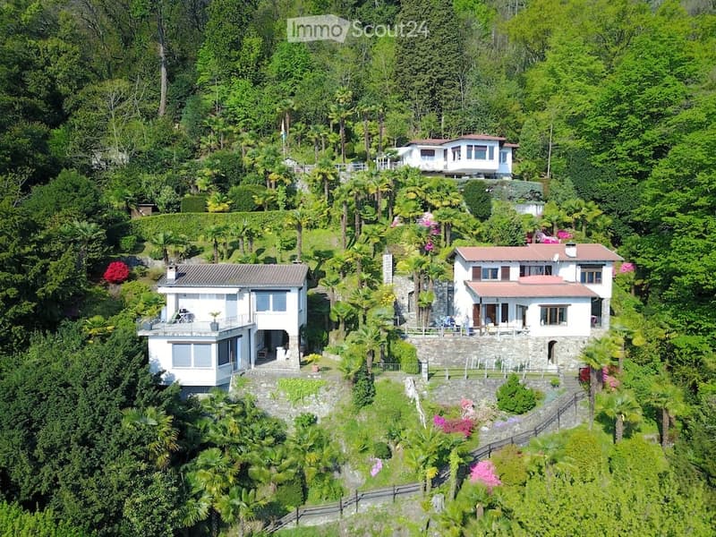 Large houses on hillside, terraced, surrounded by greenery, beautiful view, balconies
