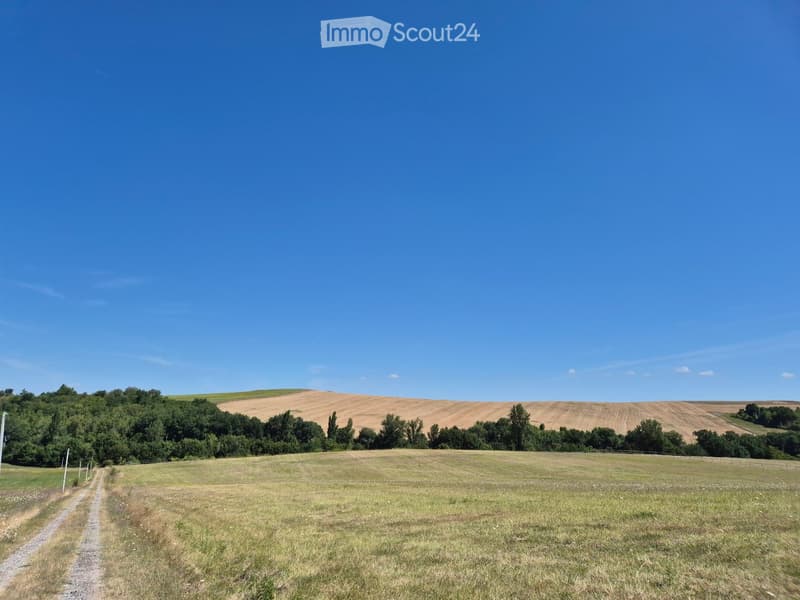 Open field with a dirt path, surrounded by trees and hills under a clear blue sky.