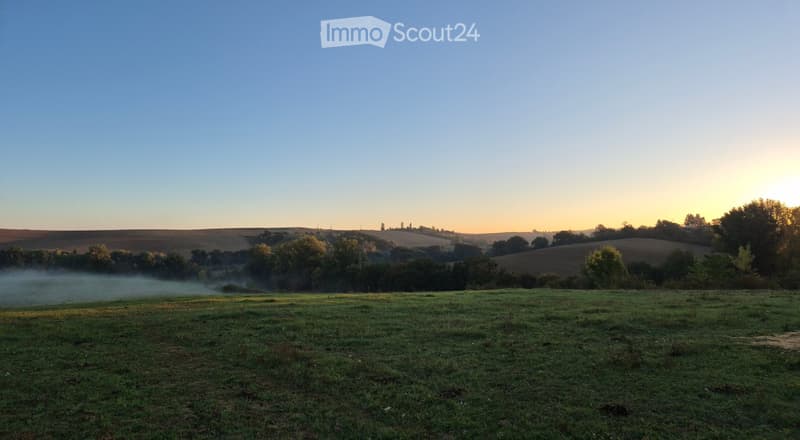 Open field with rolling hills, scattered trees, and a misty morning atmosphere.
