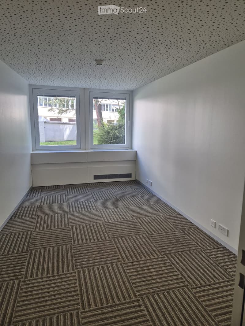 Empty room with patterned carpet, white walls, and two windows with white frames. The ceiling has a perforated design, and there are electrical outlets on the wall.