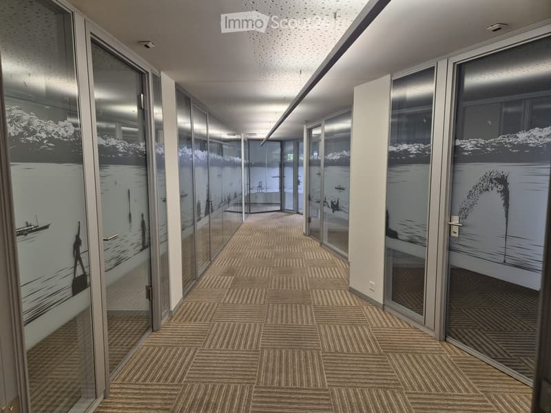Modern hallway with glass partitions, carpeted floor, and decorative artwork on the glass panels.
