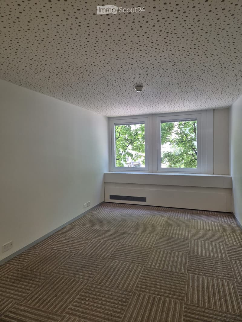 Empty room with light-colored walls, a perforated white ceiling, and a patterned carpeted floor. Two windows with white frames are positioned on one wall, and a radiator is placed beneath them.