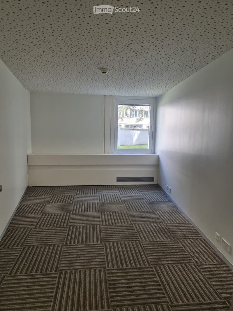 Empty hallway with patterned carpet, white walls, and a window at the end.