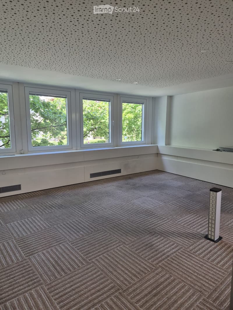 Empty room with modern decor, featuring large windows, a perforated ceiling, and a patterned carpet floor.