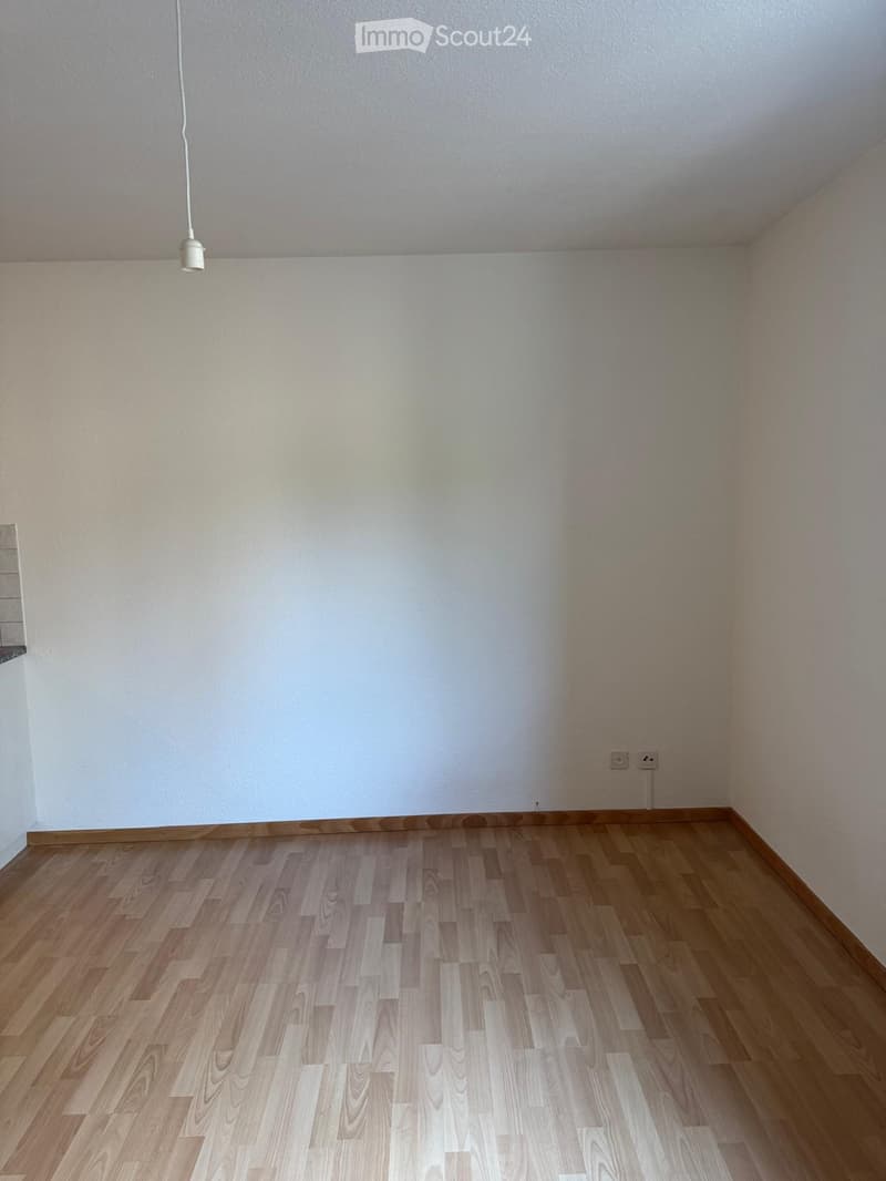Empty room with wooden flooring and white walls, featuring a single hanging light fixture.