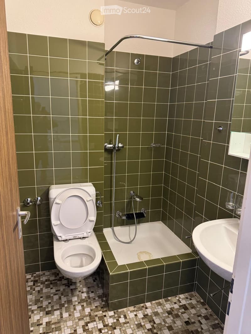 Bathroom with green tiled walls, a toilet, a bathtub, a sink, and a showerhead.