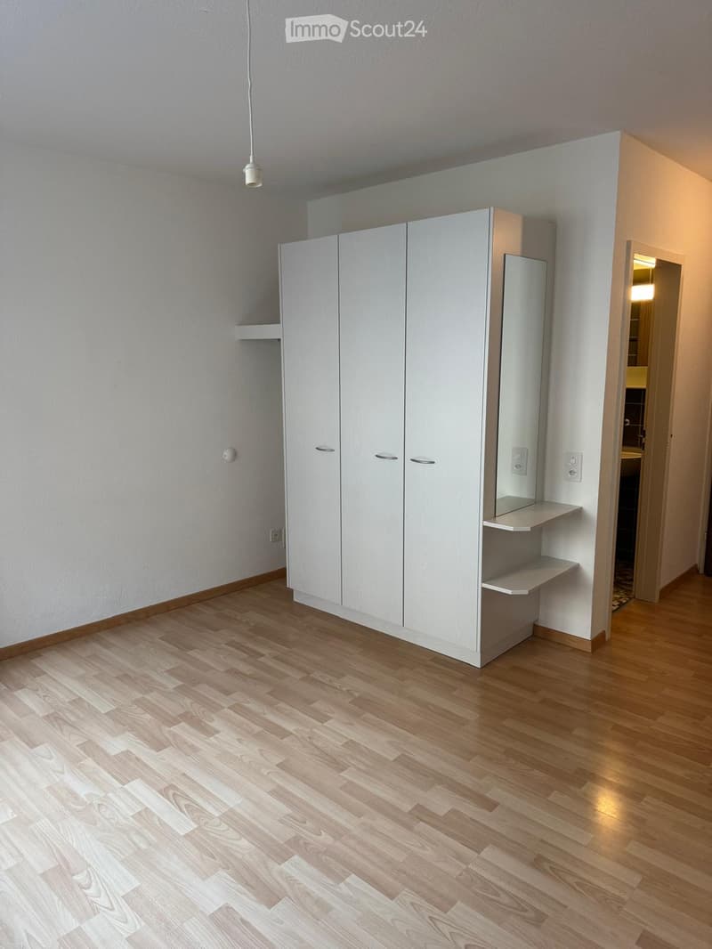 Empty room with light wooden flooring, white walls, and built-in white closet with mirrored door and shelves. A hallway leads to another room.