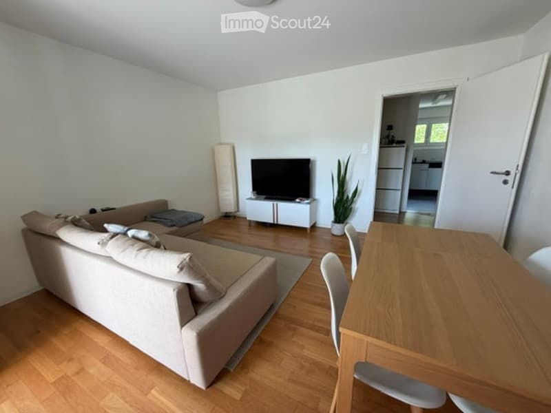 Modern living room with a light-colored sofa, coffee table, flat-screen TV on a stand, dining table with chairs, floor lamp, and a potted plant near the doorway to the kitchen.