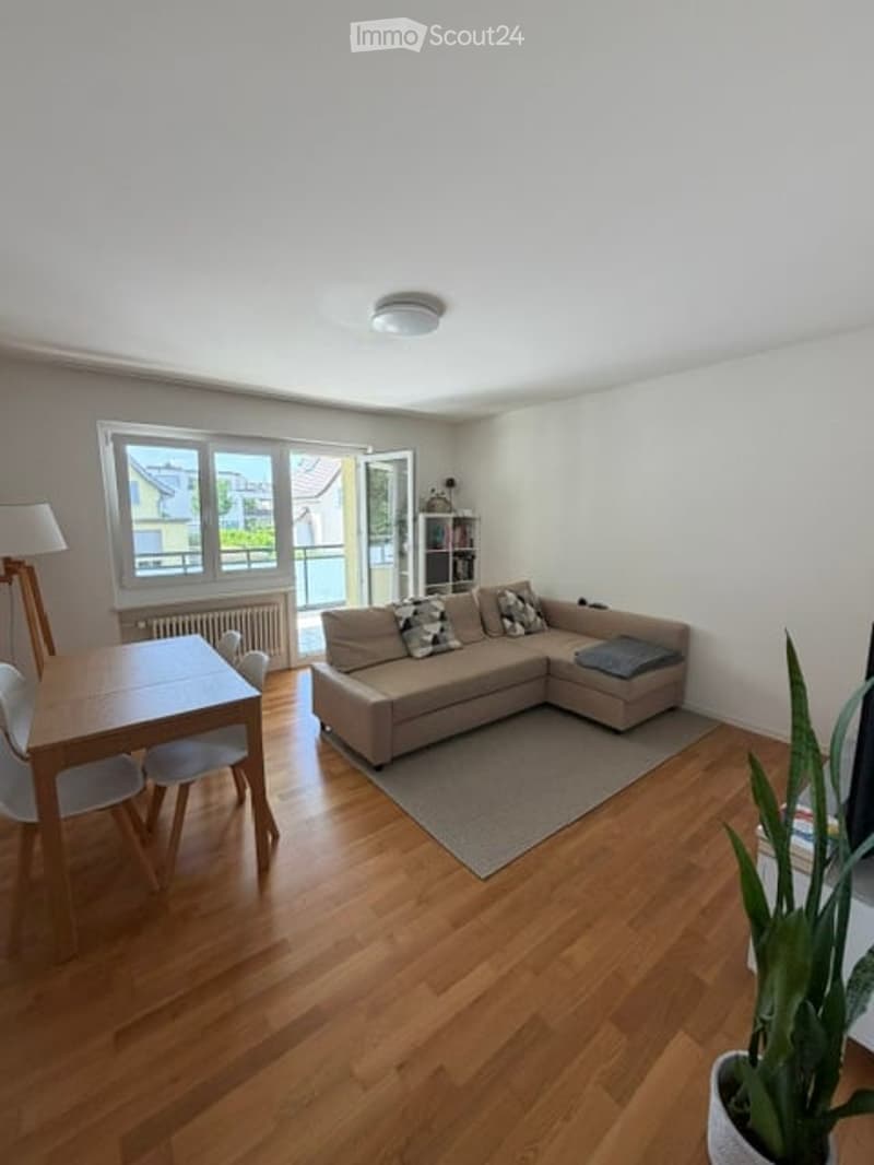 Modern living room with light wooden flooring, large window with view, grey sectional sofa, coffee table, dining table with chairs, floor lamp, radiator, and potted plant.