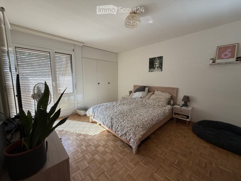 Bright bedroom with wooden flooring, large windows with blinds, a bed with patterned bedding, a nightstand with a lamp, a potted plant, and a dog bed.