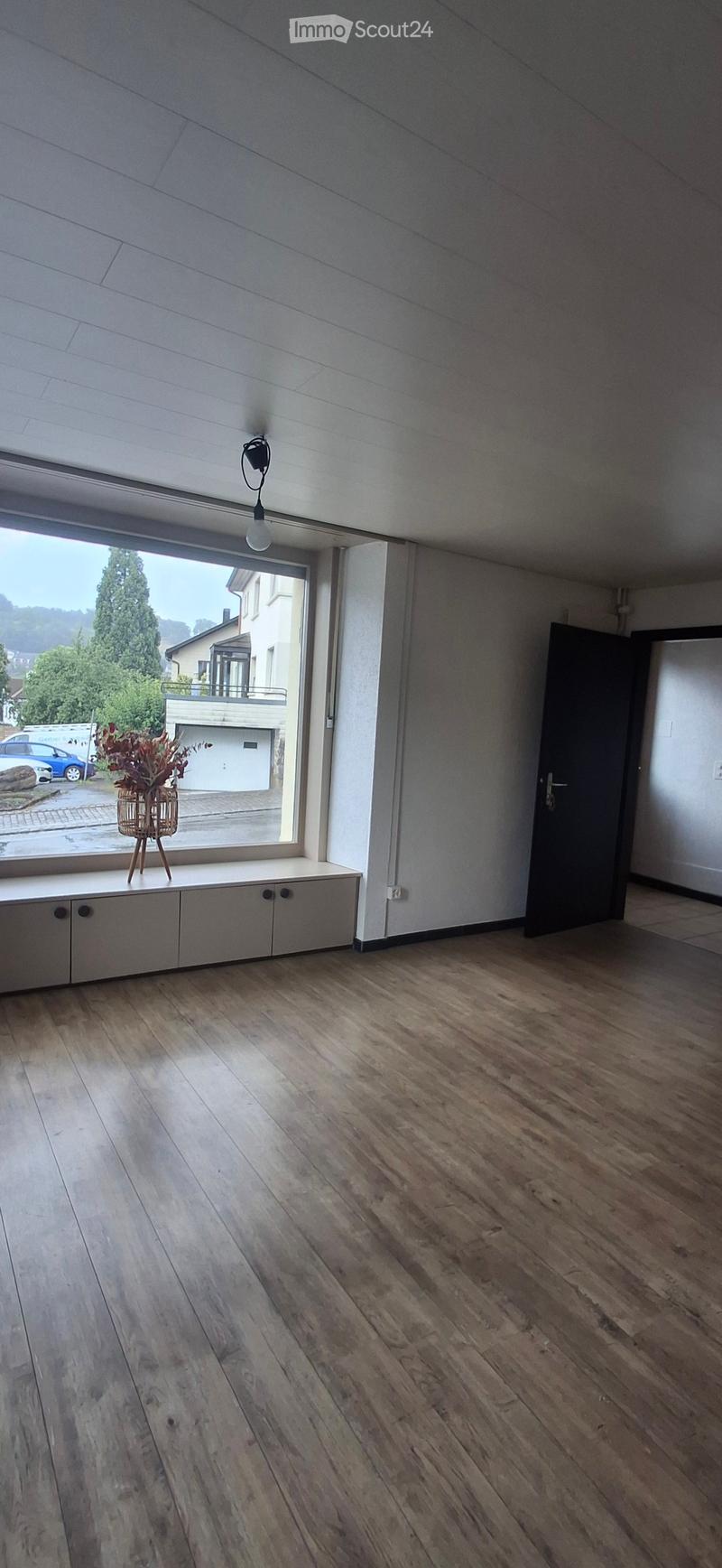 Empty room with wooden flooring, large window, and a small cabinet with a decorative plant on top.