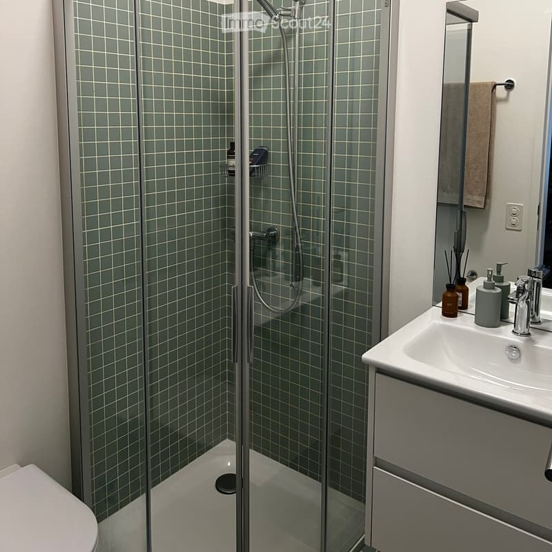 Modern bathroom with a glass-enclosed shower, white sink, and various toiletries on the counter.