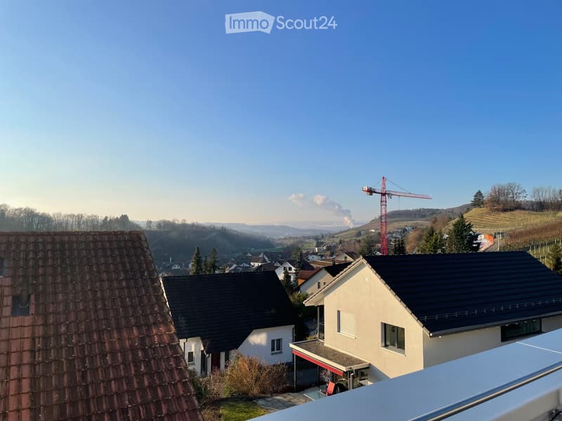 Terrassenhaus an bester Hanglage - perfekt für Familien (5)