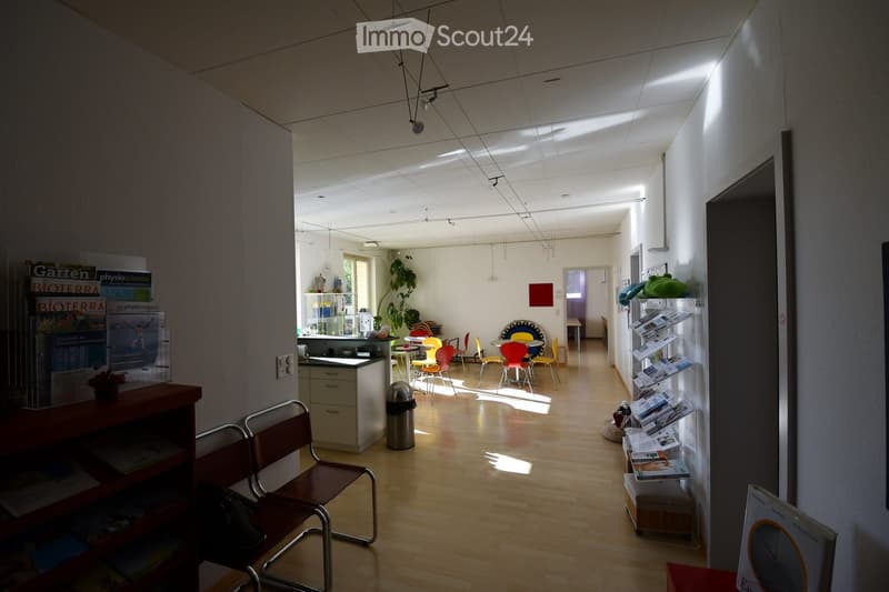 Bright, modern waiting area with wooden flooring, several chairs and tables arranged for seating, shelves with magazines, a small counter, and a potted plant near the back.