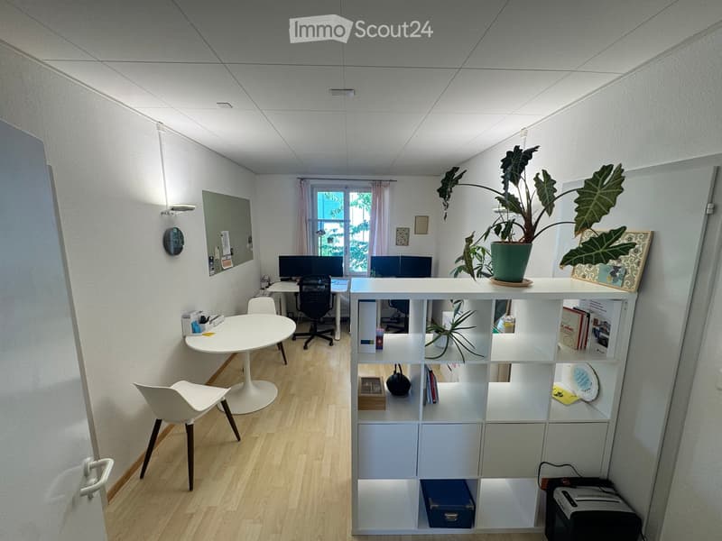 Office space with a round table, chairs, shelving unit, large plant, computer screens, and a whiteboard.