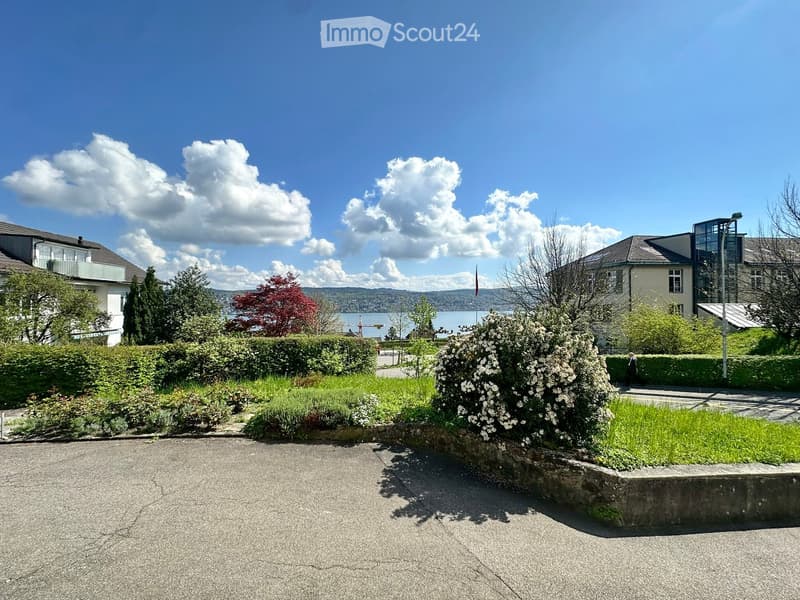 asphalt driveway, green lawn, hedges, white flowers, distant lake, houses, clear sky