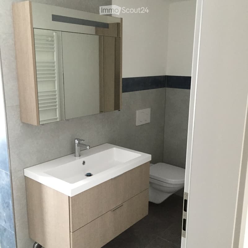 Modern bathroom with a white sink, wooden cabinet, mirror, and toilet. Grey tiles with a black accent stripe.