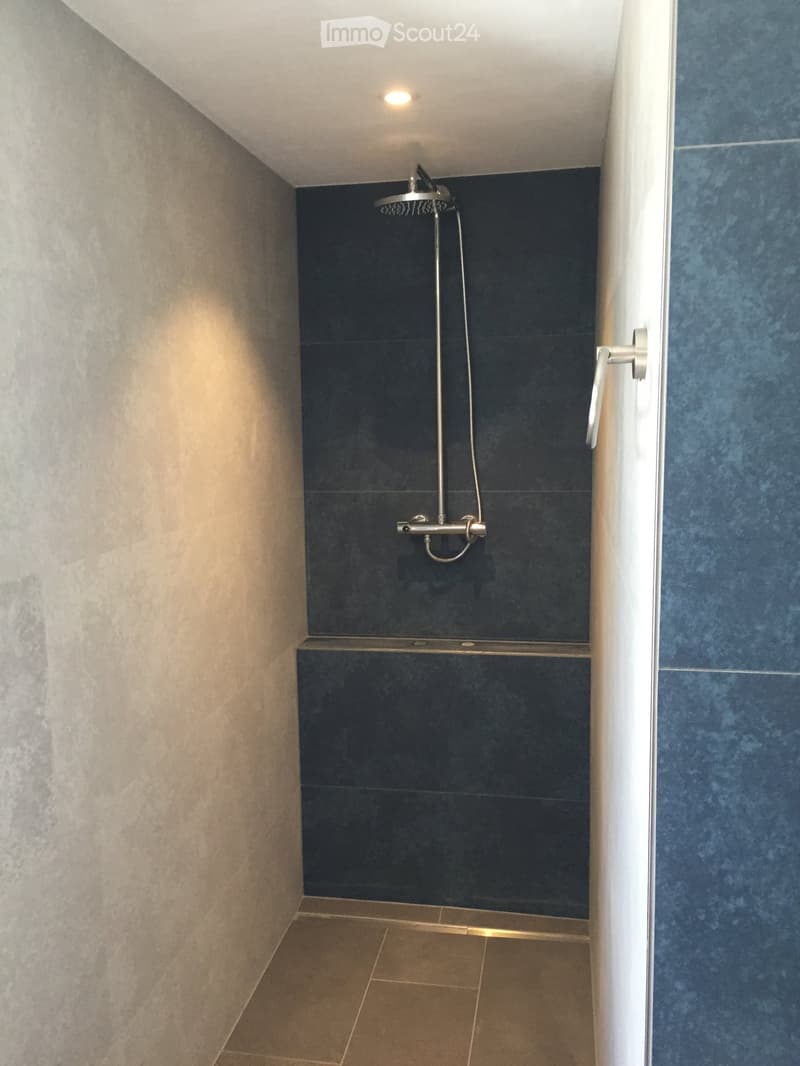 Modern shower area with dark blue tiles, a handheld showerhead, and a sleek faucet. The walls are tiled in dark blue, and the floor is tiled in light brown.
