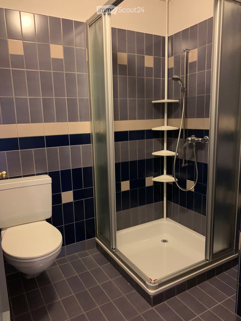 {"visible_features": ["Shower"],"type": "Bathroom","description": "Tiled bathroom with a shower enclosure, toilet, and shelving unit"}
