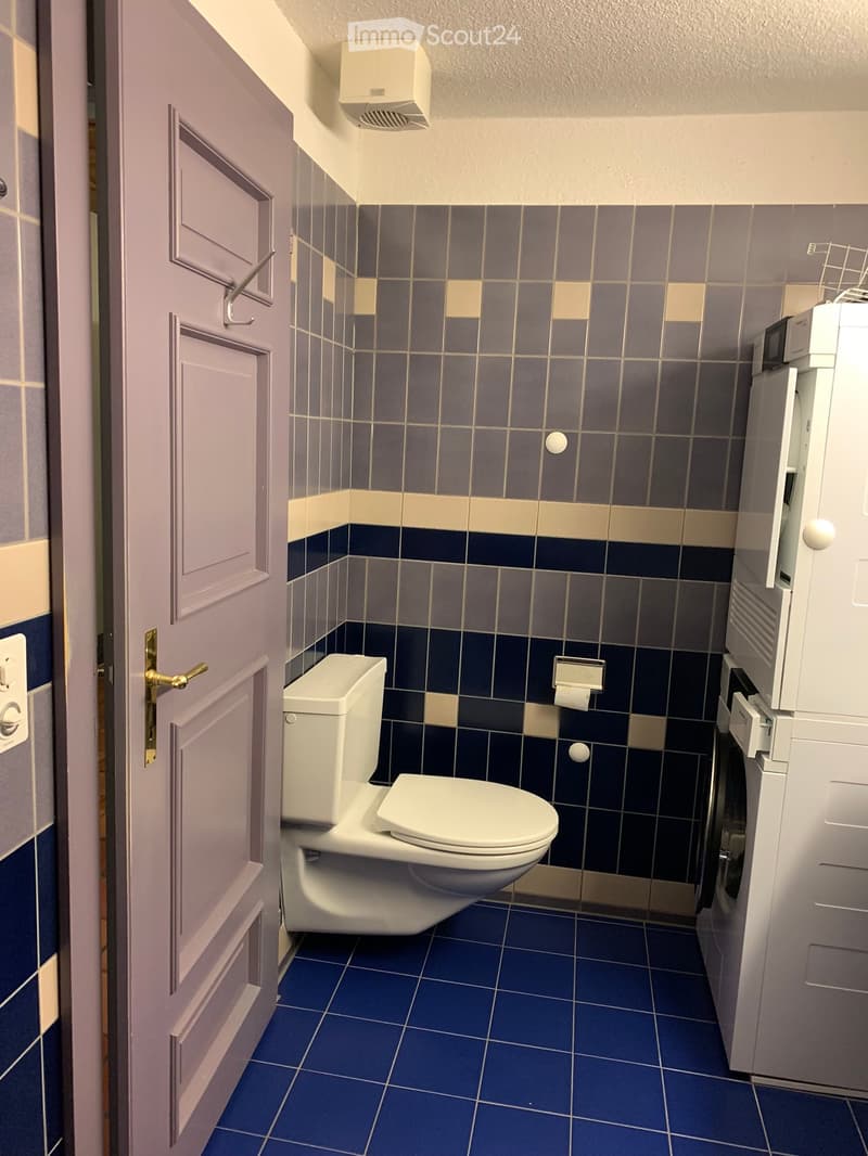 Bathroom with blue and gray tile walls, white toilet, and a washing machine visible.