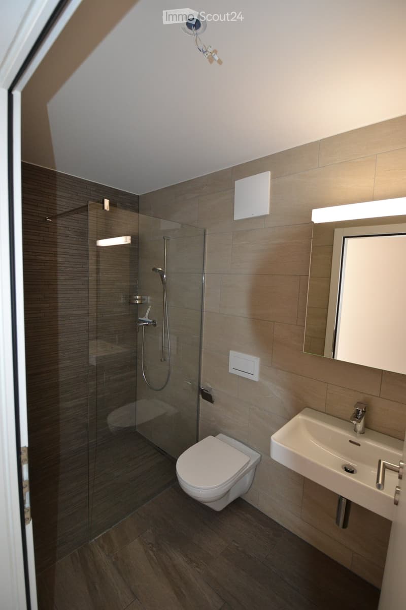 Modern bathroom with a glass-enclosed shower, toilet, sink, and mirror. The walls are tiled in a neutral tone, and the floor is made of dark wood.